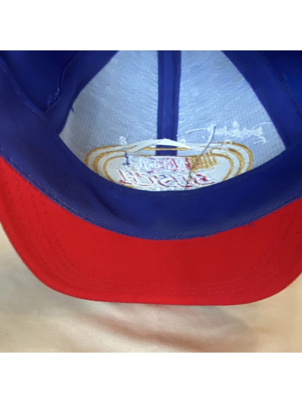 Vintage 1998 Dale Earnhardt Jr Nascar Blue and Red Busch Series Champion Hat - Picture 10 of 11